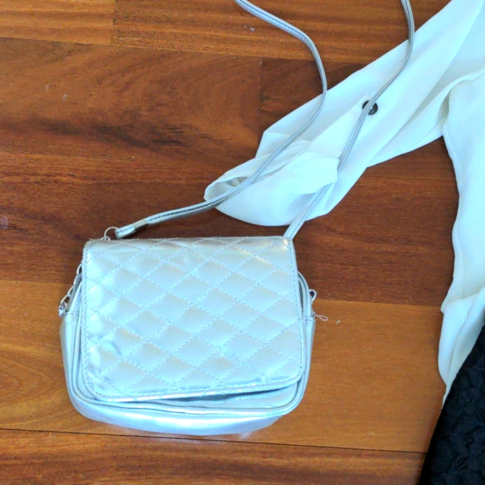 Silver purse